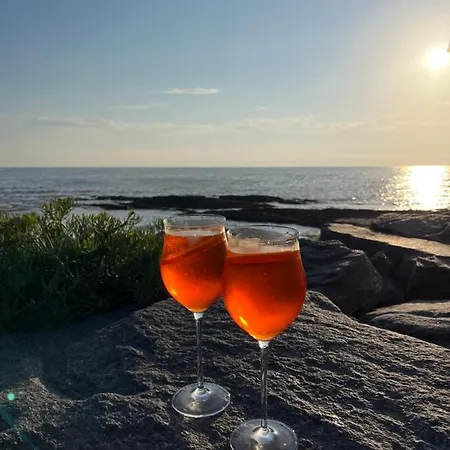 Le Cabanon Acces Direct ! La Turballe