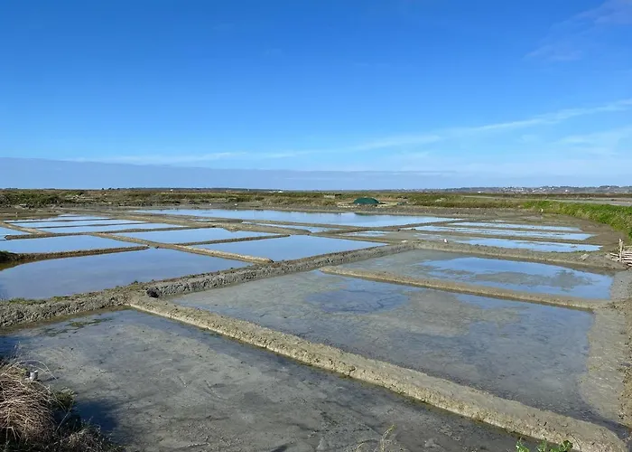 Hébergement de vacances Le Cabanon Accès Direct ! La Turballe